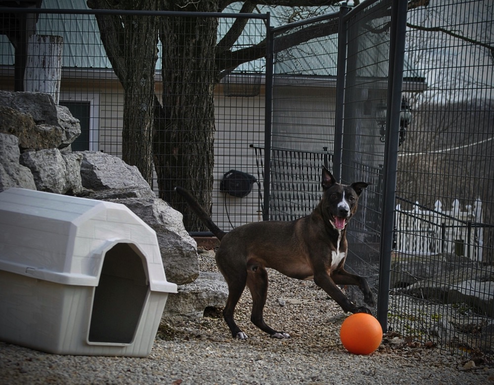 Playtime